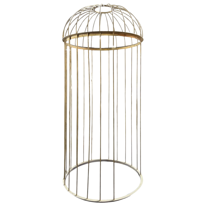 Go-Go Dancer Cage