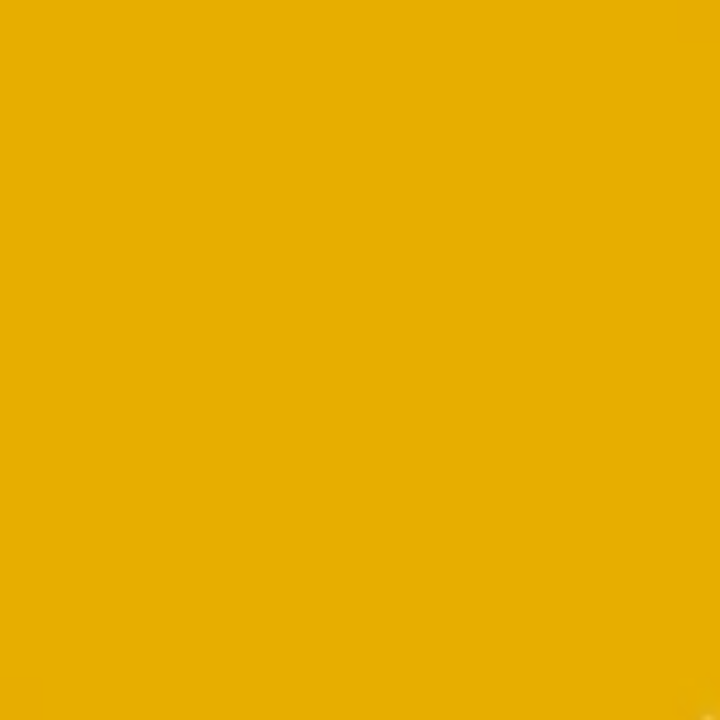 Byzantine Poplin