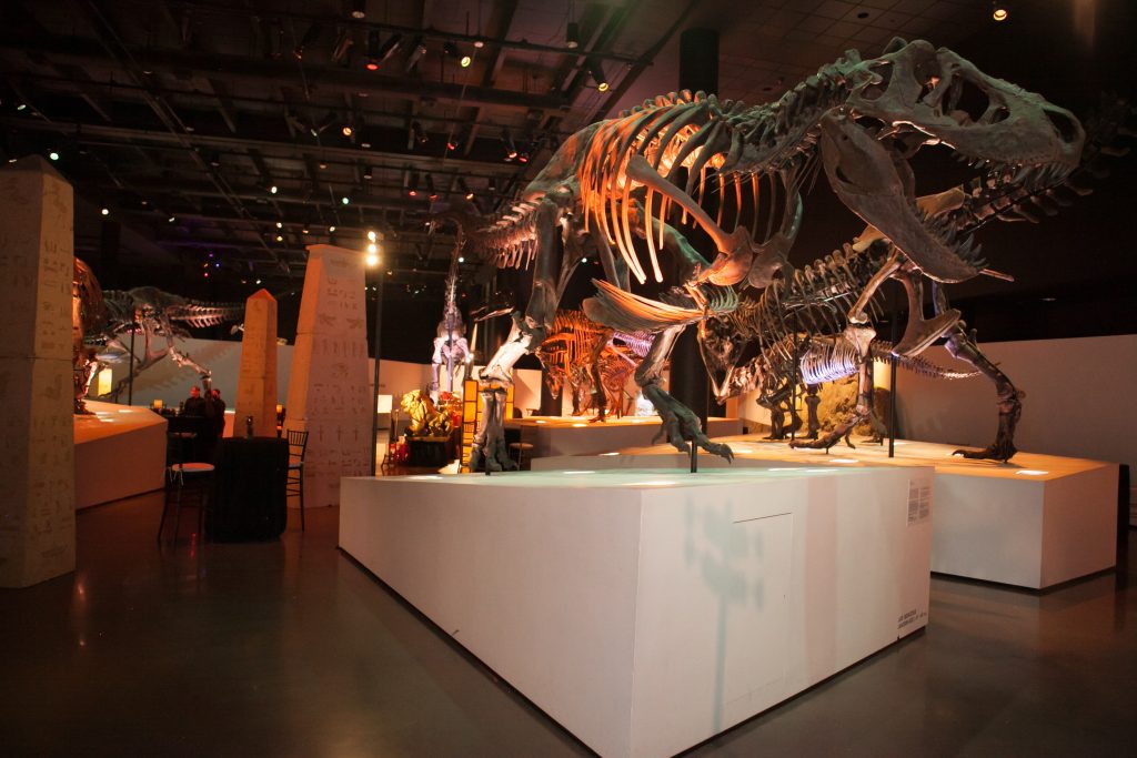 Houston Museum of Natural Science - Corporate Event - Houston Corporate Catering - Swift + Company Events