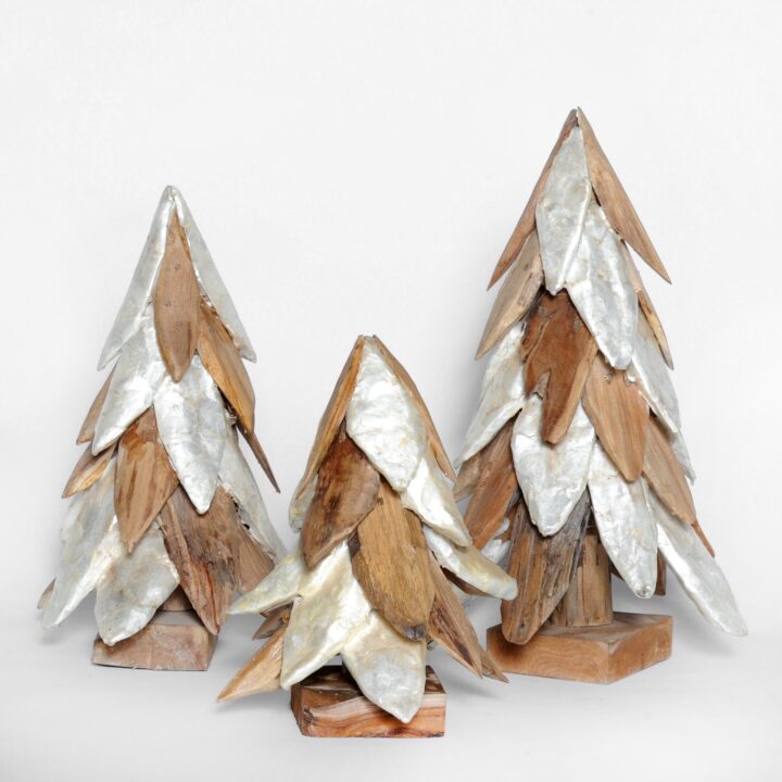 Driftwood Tree With Shell