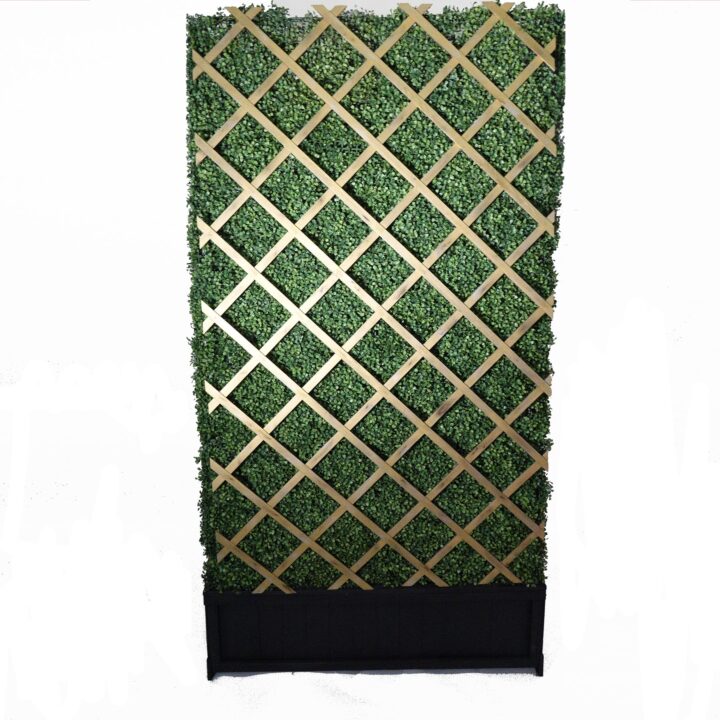 Trellis Boxwood Hedge