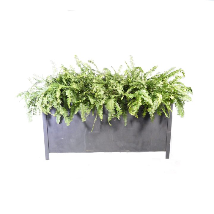 Noir Steel Planter
