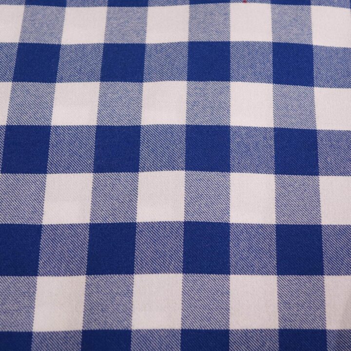 Gingham Blue + White