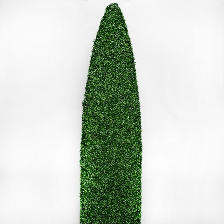 Jancie Boxwood Topiary