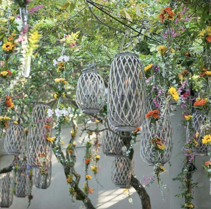 Willow Lanterns