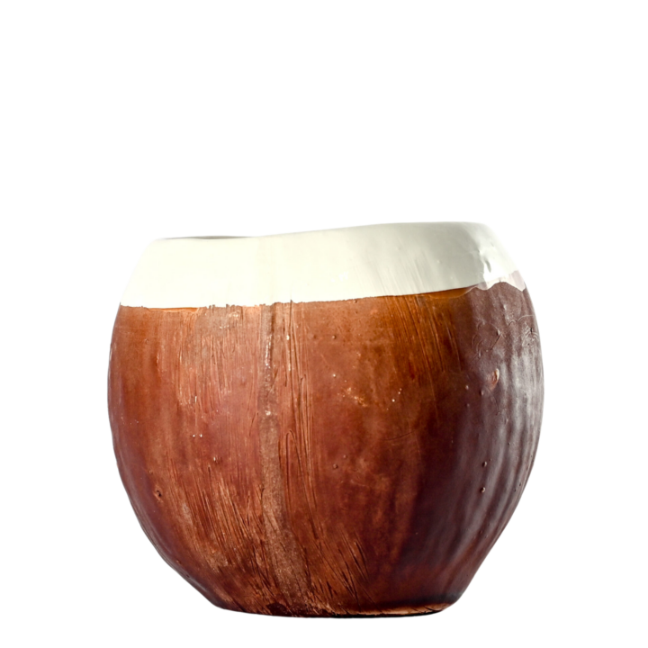 Coconut Tumbler