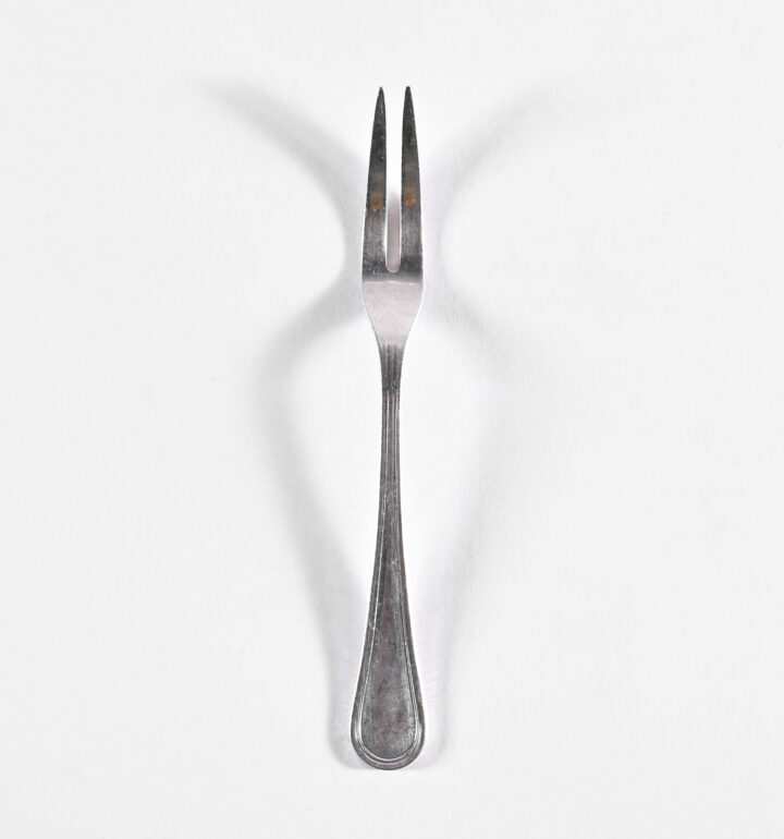 Snail Fork