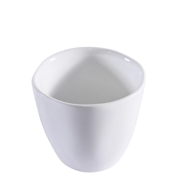 Izabel Lam Sake Cup