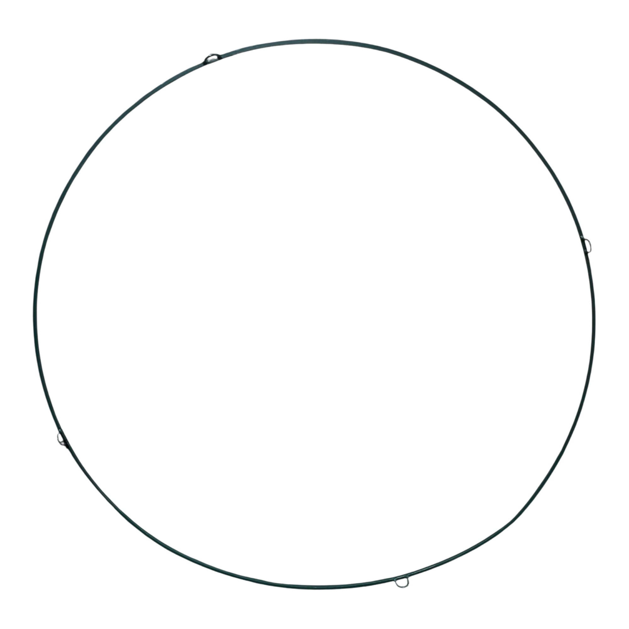Simple black iron ring with a 6-foot diameter, featuring small attachment loops spaced around the frame. Ideal for floral installations, hanging displays, or event backdrops.