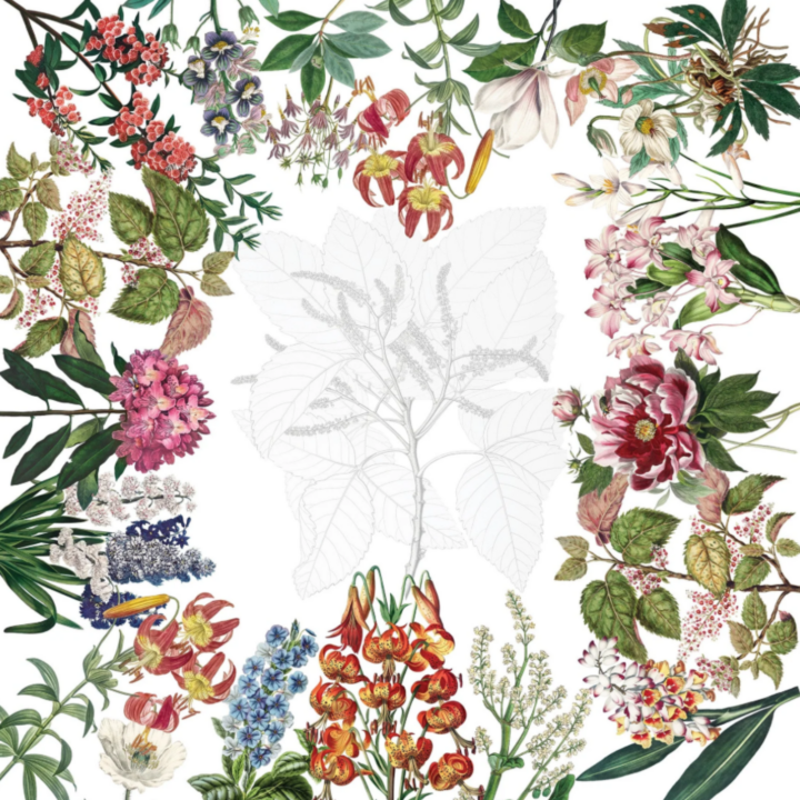 86-inch square Summer Garden linen featuring a botanical floral border with vibrant red, pink, blue, and green illustrated flowers surrounding a soft neutral center.