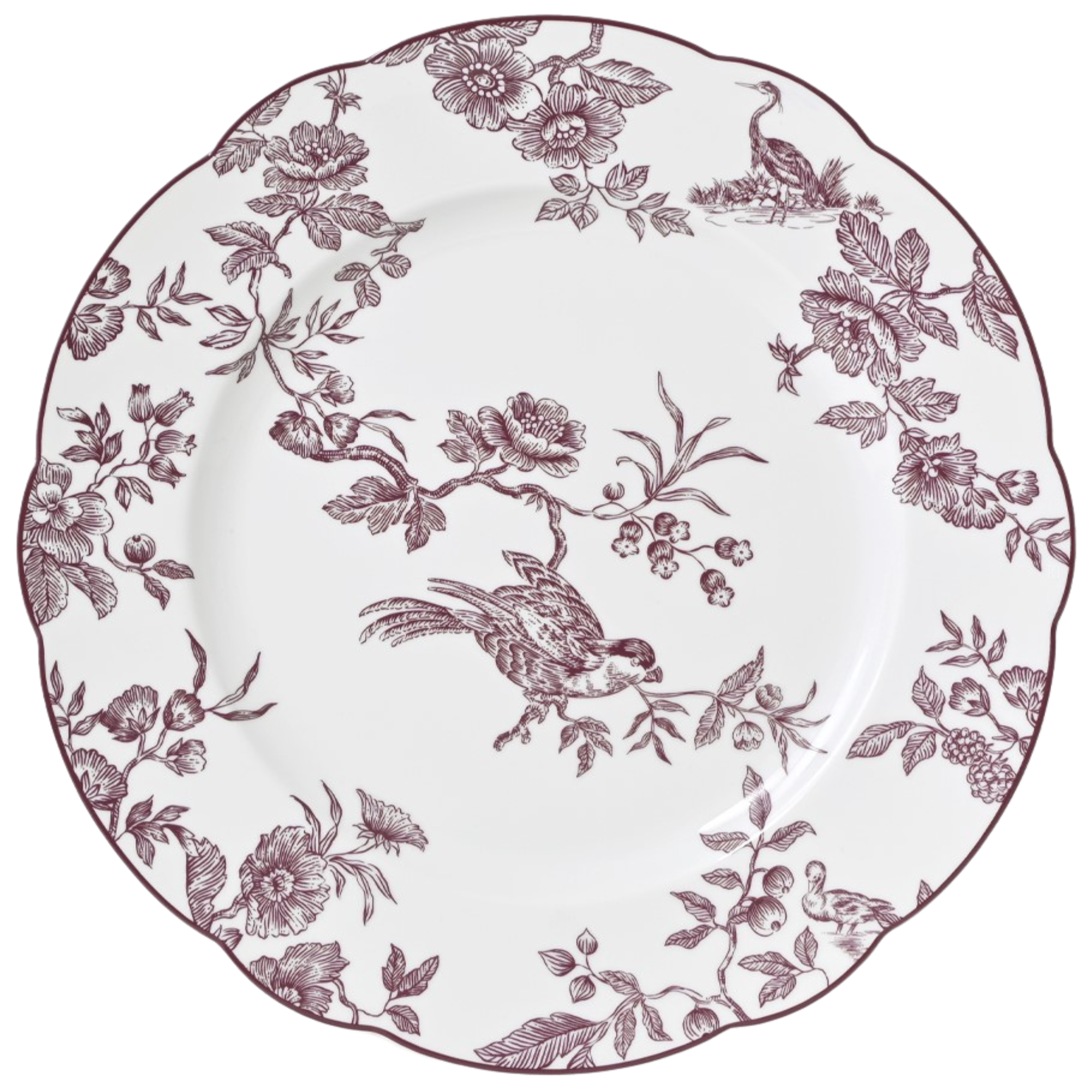 Albertine Prune on White Dinner Plate