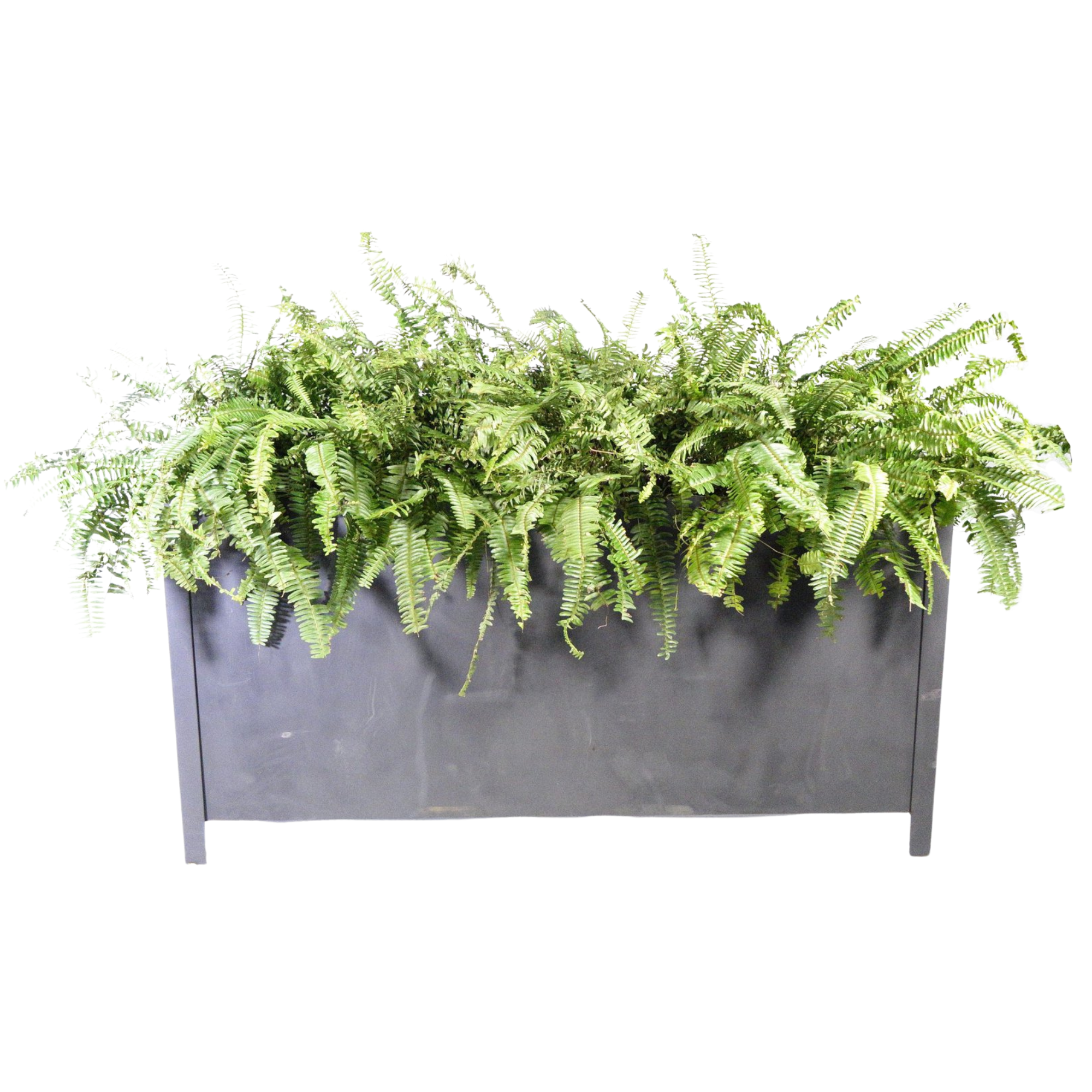 Steele Planter, Black