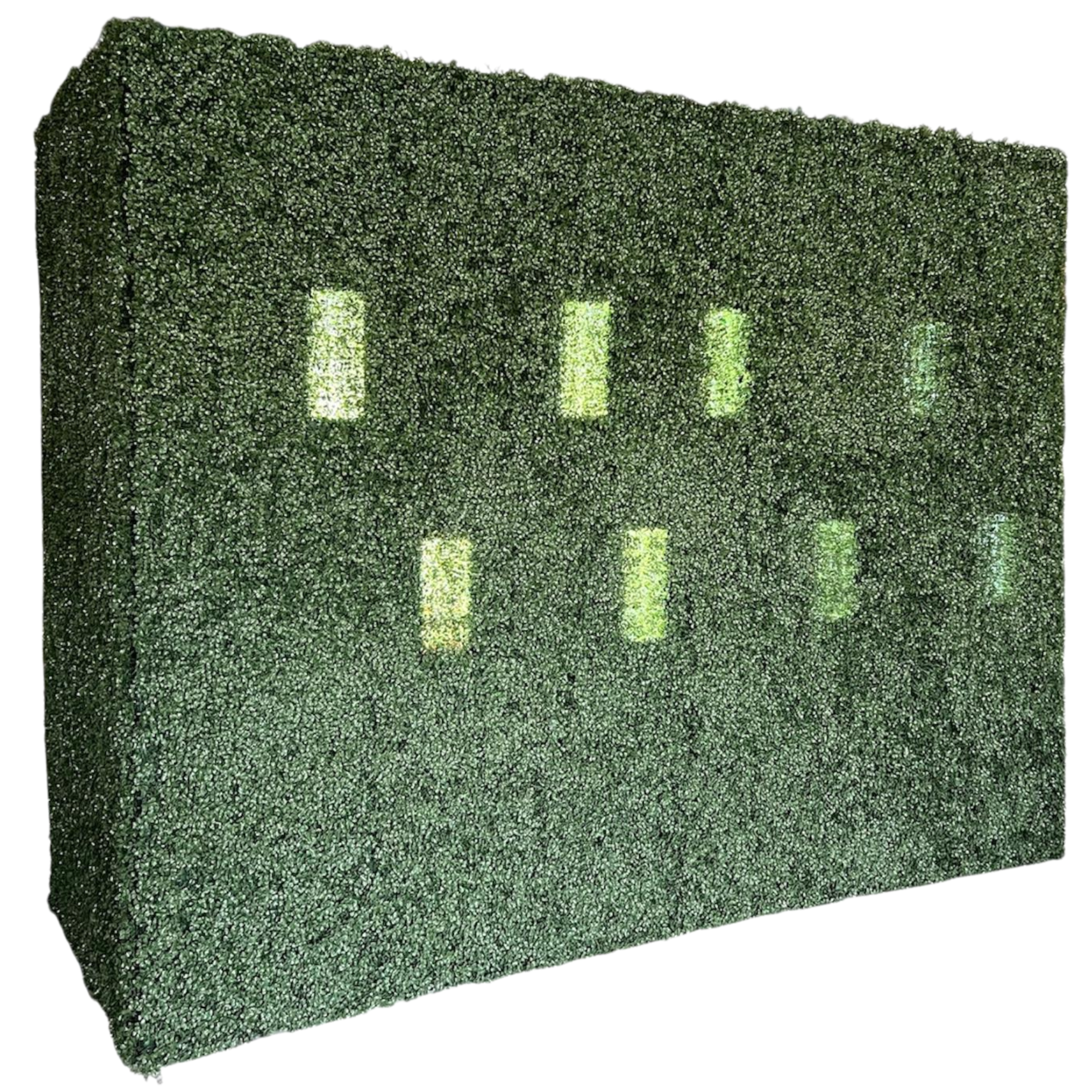 Boxwood Champagne Wall with Hand Service Openings